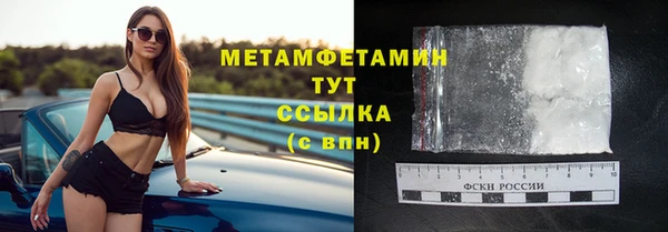 прущие грибы Волоколамск