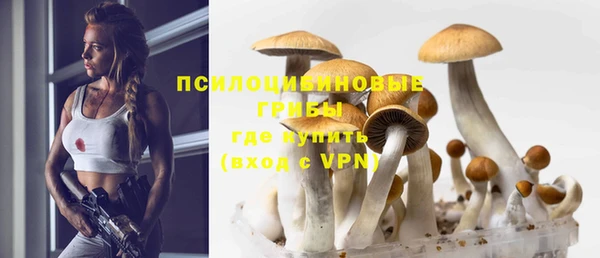 прущие грибы Волоколамск
