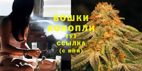 прущие грибы Волоколамск