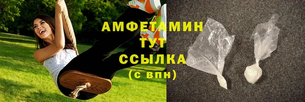 прущие грибы Волоколамск