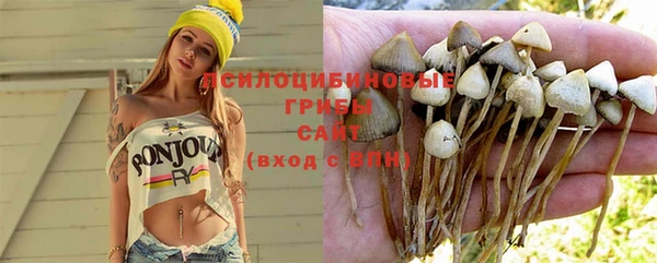 прущие грибы Волоколамск