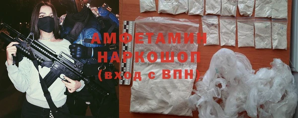 прущие грибы Волоколамск