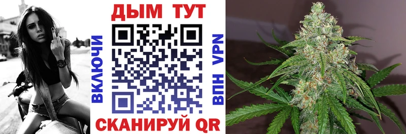 Конопля сатива  Купить закладки  Горнозаводск 